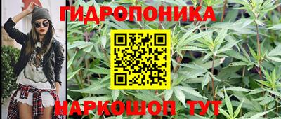 дурь Новодвинск