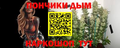 крисы Новокубанск