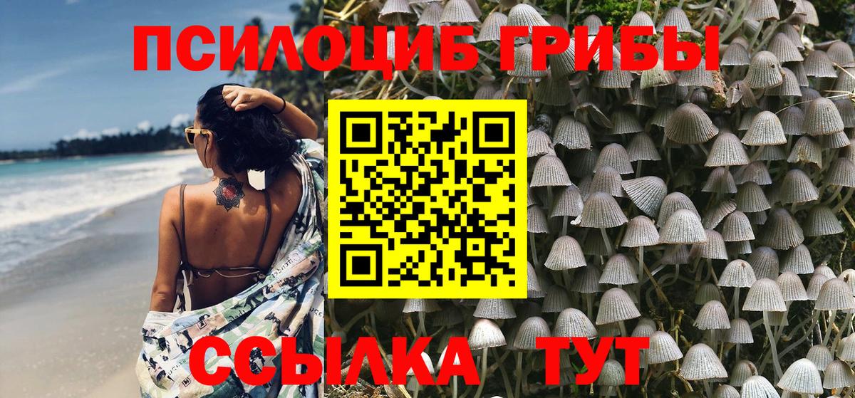 Галлюциногенные грибы Psilocybe Татарск