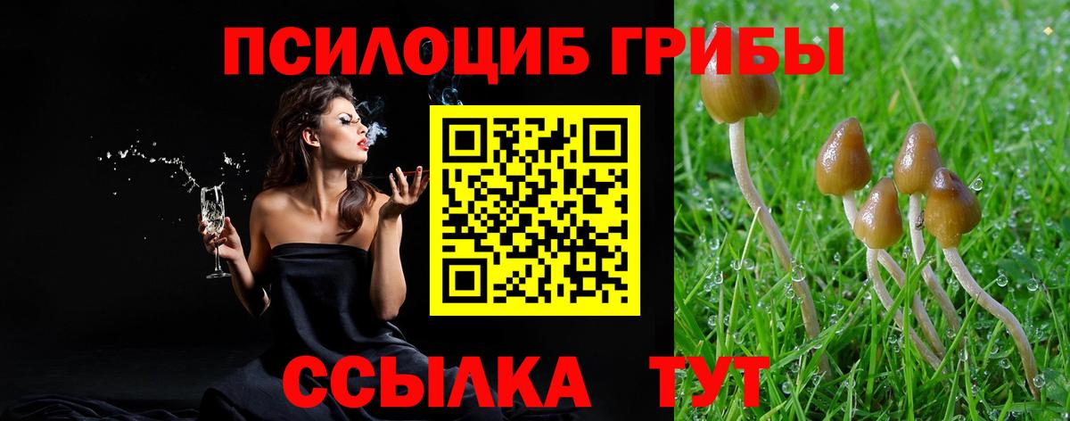 Галлюциногенные грибы мухоморы  Вход с VPN  Псилоцибиновые грибы MAGIC MUSHROOMS  Татарск 